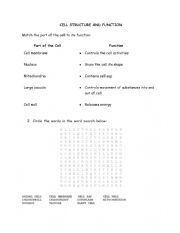 CELL STRUCTURE AND FUNCTION