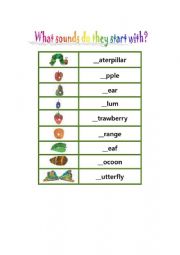 English Worksheet: catepillar