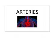 English Worksheet: The circulatory system 