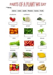 English Worksheet: PARTS OF A PLANT WE EAT
