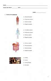 English Worksheet: DIAGNOSTIC TEST 2ND GRADE SECONDARY 2