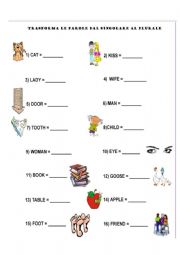 English Worksheet: change from singular to plural