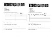 English Worksheet: The reproductive system worksheet