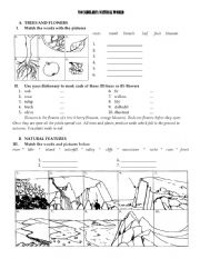 English Worksheet: ESL Teacher