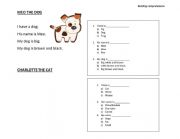 English Worksheet: reading comprehension