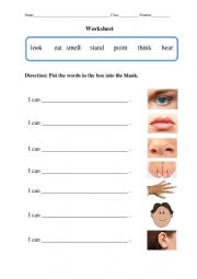 English Worksheet: Body Parts