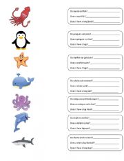 Do/Does questions with sea animals