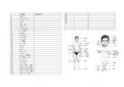 English Worksheet: The Body - vocabulary exercise