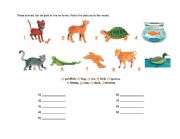 English Worksheet: PET ANIMALS