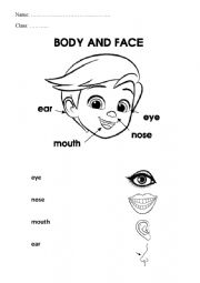 English Worksheet: Face