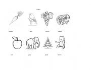 English Worksheet: Colors