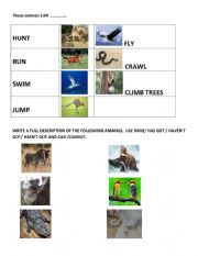 English Worksheet: can and cannot
