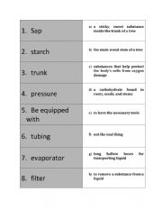 English Worksheet: Maple syrup vocabulary 
