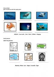 English Worksheet: Sea animals.