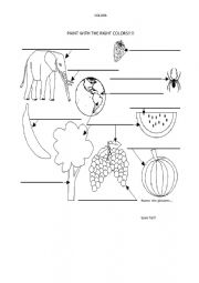 English Worksheet: colors