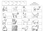 English Worksheet: Animals and their babies