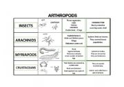 arthropods