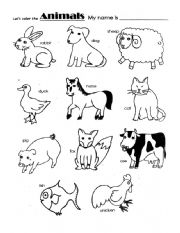 English Worksheet: animals