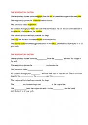 English Worksheet: the respiratory system