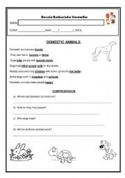 English Worksheet: DOMESTIC ANIMALS WORKSHEET