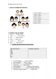 English Worksheet: possessive case- possessive adjectives- family-verb can- irregular nouns