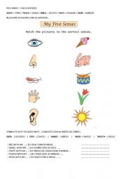 5 senses and body parts
