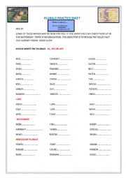 Plurals Practice Sheet