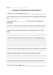 English Worksheet: Galapagos Adaptations