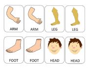 English Worksheet: Body Parts Memory Game