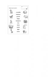 English Worksheet: wild animals