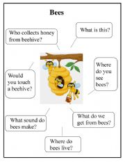 English Worksheet: Creative writing - Bees