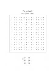 English Worksheet: the animals