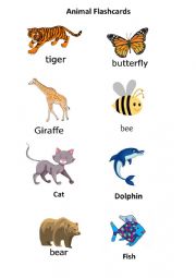 English Worksheet: Animal Flashcards