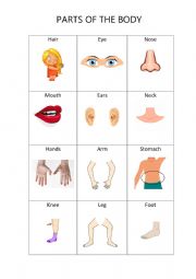 English Worksheet: Parts of the body