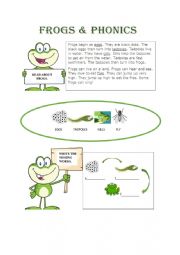 Frogs & Phonics