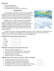 English Worksheet: Reading Comprehension