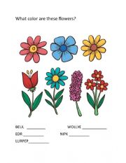 English Worksheet: Whats color are these flowers?