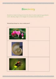 English Worksheet: Biomimicry