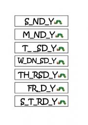 English Worksheet: The very hungry caterpillar