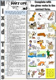 More about dogs I - It is a dog�s life. MIXED TENSES + KEY