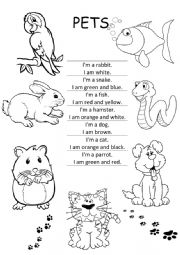 English Worksheet: Pets