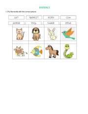 English Worksheet: ANIMALS