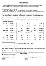 English Worksheet: Simple Present