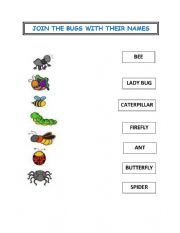 English Worksheet: Bugs