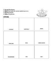 Spring vocabulary