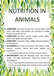 English Worksheet: CARNIVORES... NUTRITION IN ANIMALS