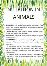 CARNIVORES... NUTRITION IN ANIMALS