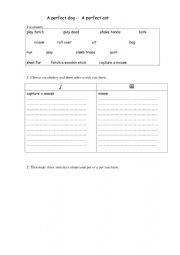 English Worksheet: My perfect pet