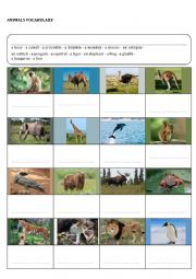 ANIMALS ROUTINE VOVCABULARY