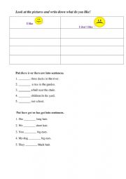 English Worksheet: Test : have/has got; I like/ I don�t like; there is/are
